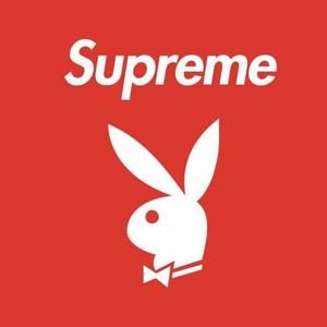 Meet your Posher, Chase